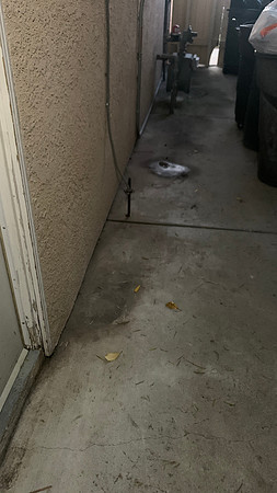 Supposed water pooling beside the house