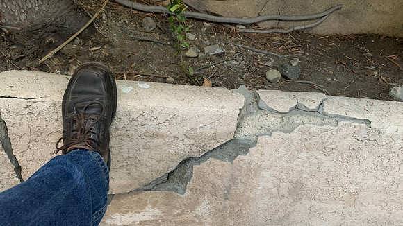 Size 11 1/2 for scale